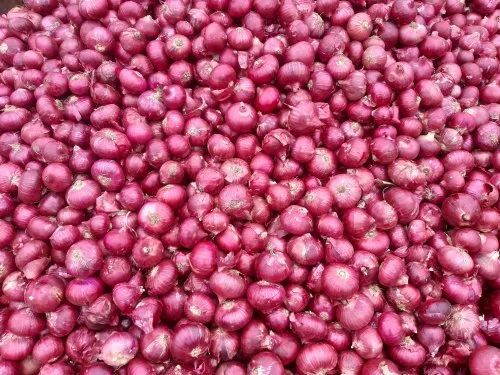  
                                          प्याज सुकेको (भारतीय)                      