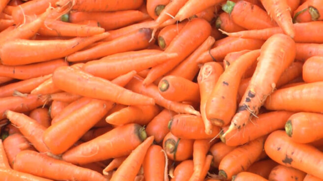  
                                          गाजर(लोकल)                      