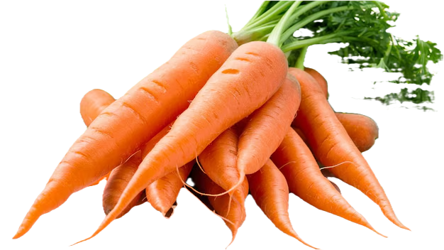  गाजर(तराई) 