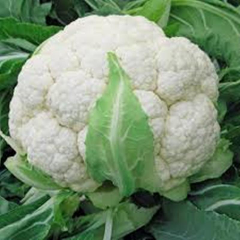  
                                          स्थानीय काउली(ज्यापु)                      