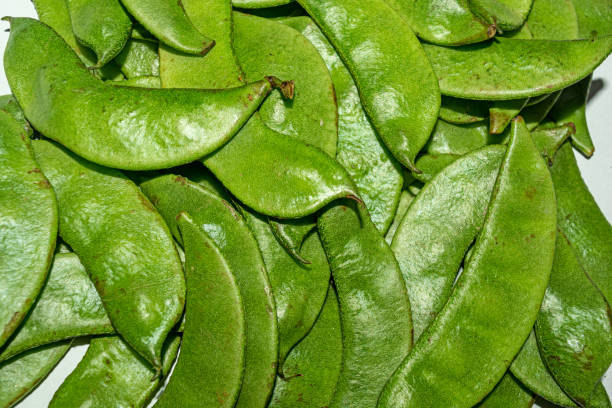  
                                          टाटे सिमी                      