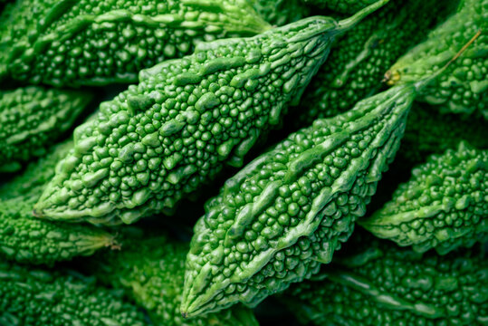  
                                          तितो करेला                      