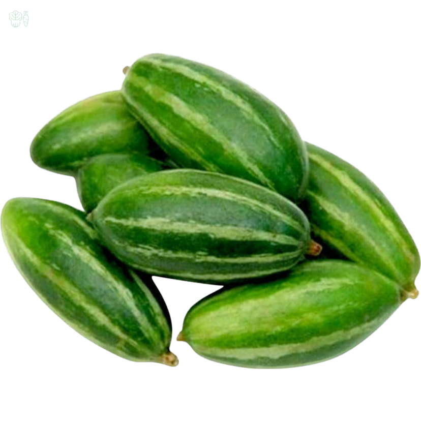  
                                          परवर(तराई)                      