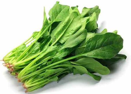  
                                          पालुङ्गो साग                      