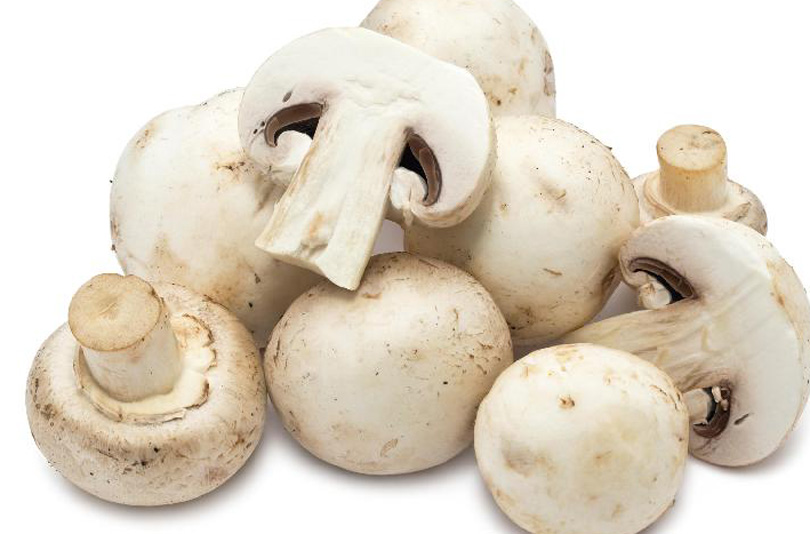  
                                          च्याउ(डल्ले)                      