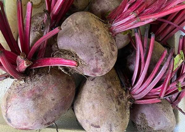  
                                          चुकुन्दर                      