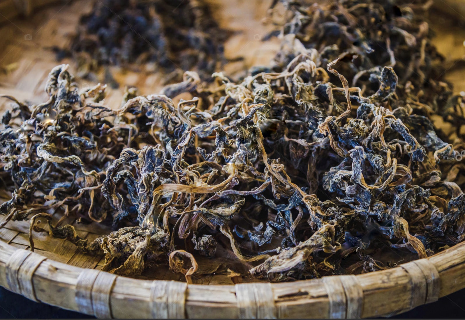  
                                          गुन्दुक                      