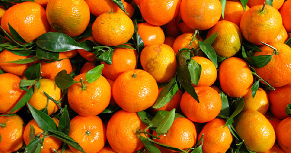  सुन्तला(नेपाली) 