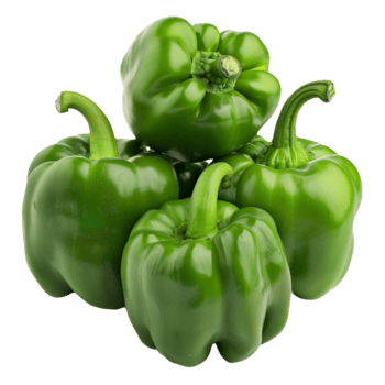  
                                          भेडे खु्र्सानी                      